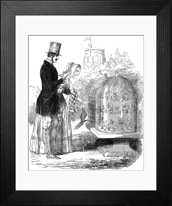 Framed Print : Albert, Prince Consort, showing his hives to Queen Victoria Framed Print : Albert, Prince Consort, showing his hives to Queen Victoria