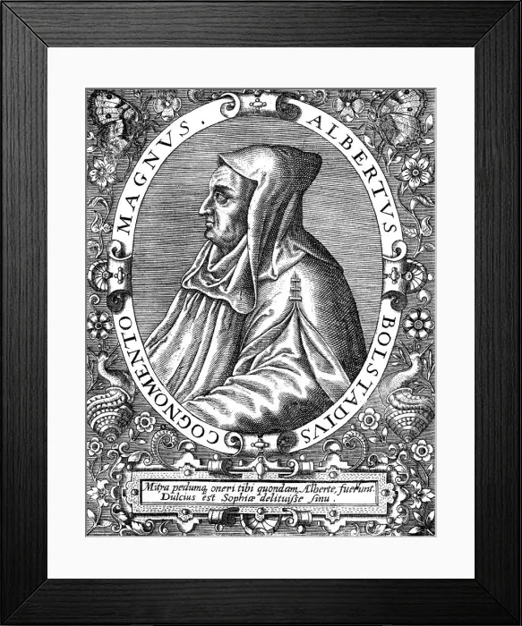 Framed Print : Albertus Magnus (c1200-1280) German-born Dominican friar, late 16th century Framed Print : Albertus Magnus (c1200-1280) German-born Dominican friar, late 16th century