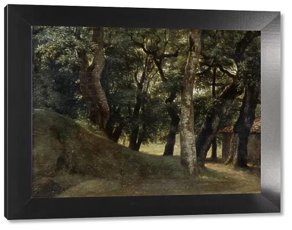 Forest of the Villa Borghese, late 18th  /  early 19th century. Artist: Pierre Henri de Valenciennes