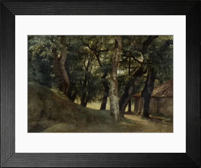 Framed Print : Forest of the Villa Borghese, late 18th / early 19th century. Artist: Pierre Henri de Valenciennes Framed Print : Forest of the Villa Borghese, late 18th / early 19th century. Artist: Pierre Henri de Valenciennes