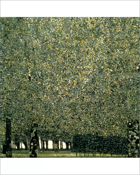 Park, 1910. Artist: Gustav Klimt