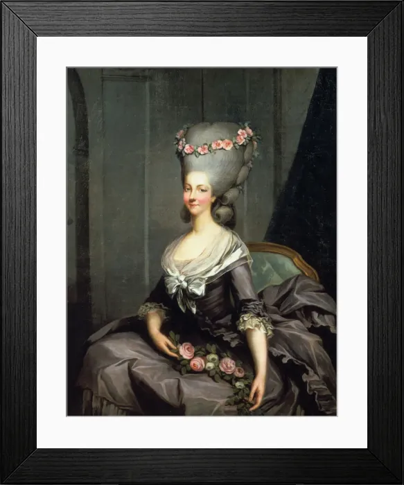 Framed Print : The Princess Lamballe late 18th century. Artist: Antoine Callet Framed Print : The Princess Lamballe late 18th century. Artist: Antoine Callet