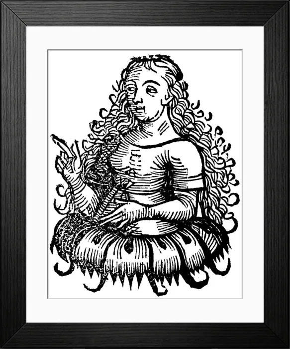 Framed Print : Cimmerian Sibyl, 1493 Framed Print : Cimmerian Sibyl, 1493