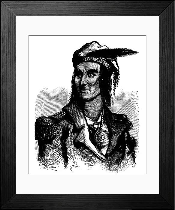 Framed Print : Tecumseh (c1768-1813), Native American chief of the Shawnees Framed Print : Tecumseh (c1768-1813), Native American chief of the Shawnees