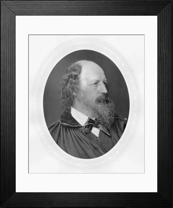 Framed Print : Alfred Tennyson, lst Baron Tennyson (1809-1893) English poet, c1880 Framed Print : Alfred Tennyson, lst Baron Tennyson (1809-1893) English poet, c1880