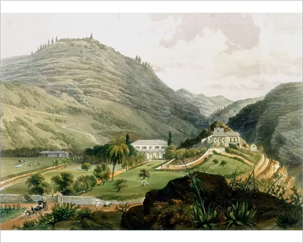 The Briars, St Helena, early 19th century (1851)