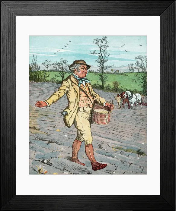 Framed Print : Farmer sowing seed broadcast, 1881. Artist: Randolph Caldecott Framed Print : Farmer sowing seed broadcast, 1881. Artist: Randolph Caldecott