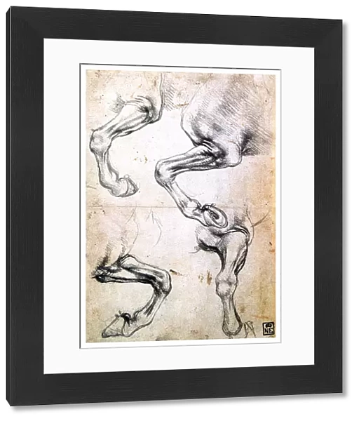 Four studies of horses legs, c1500. Artist: Leonardo da Vinci