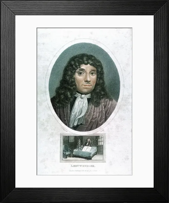 Framed Print : Anton van Leeuwenhoek (1632-1723), Dutch microscopist, c1810. Artist: John Chapman Framed Print : Anton van Leeuwenhoek (1632-1723), Dutch microscopist, c1810. Artist: John Chapman