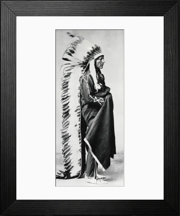 Framed Print : Standing Bear, Chief of the Dakota Sioux, North American Plains Indians, c1885-c1890 Framed Print : Standing Bear, Chief of the Dakota Sioux, North American Plains Indians, c1885-c1890