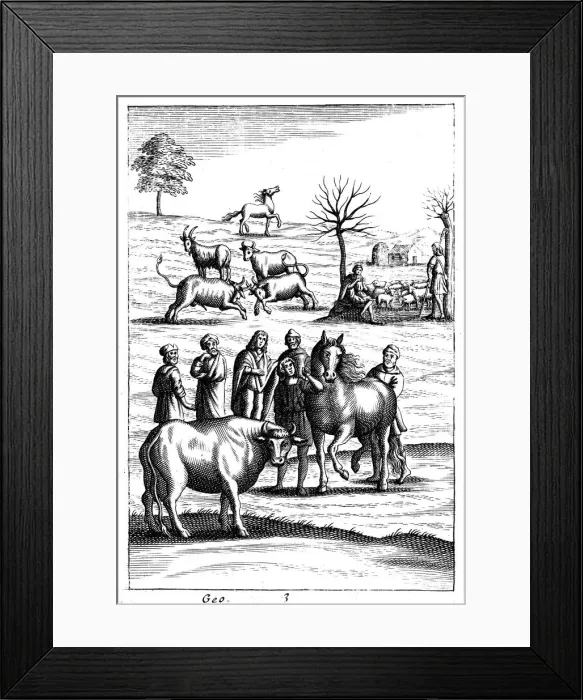 Framed Print : Sheep, cattle, horses and goats, 18th century Framed Print : Sheep, cattle, horses and goats, 18th century