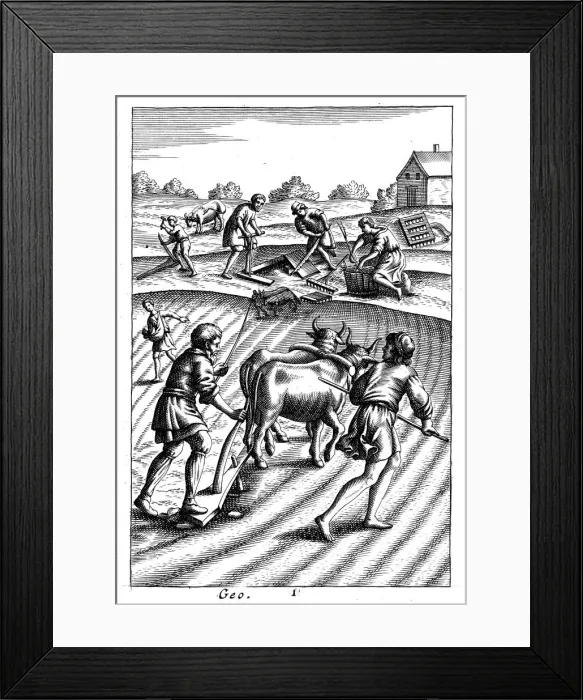 Framed Print : Ploughing with oxen, sowing seed broadcast and harrowing, 18th century Framed Print : Ploughing with oxen, sowing seed broadcast and harrowing, 18th century