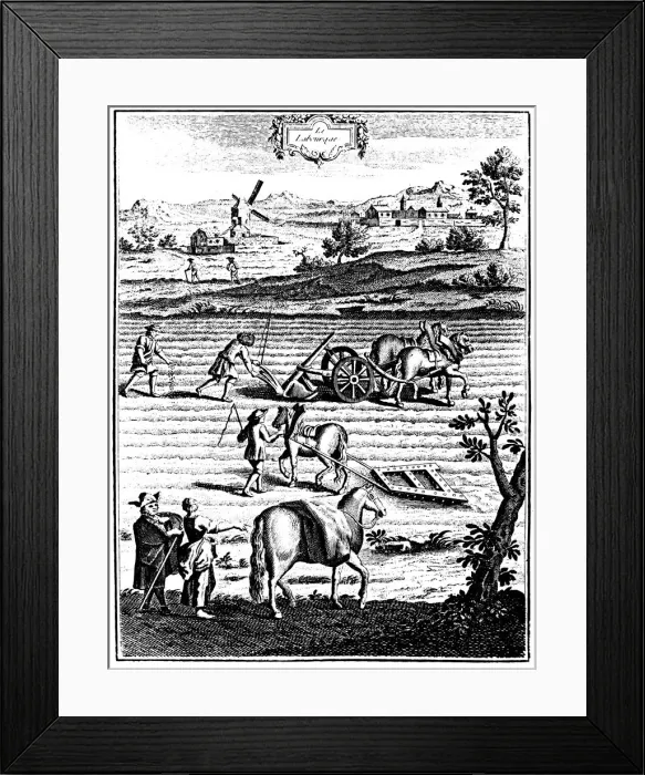 Framed Print : Ploughing and harrowing with horses and sowing seed broadcast, 1762 Framed Print : Ploughing and harrowing with horses and sowing seed broadcast, 1762
