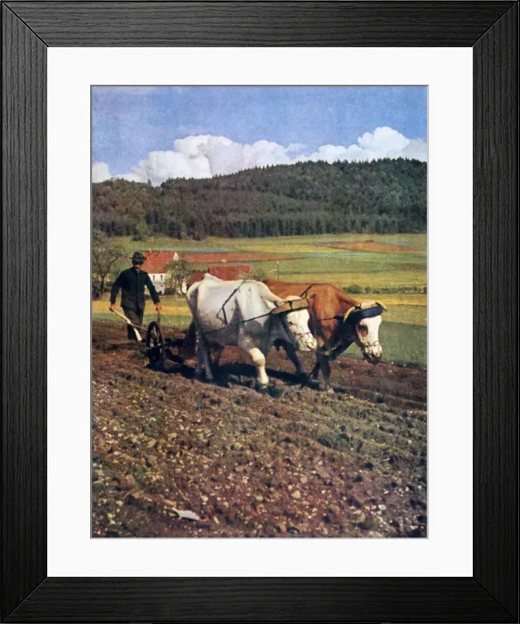 Framed Print : Tilling, Germany, 1943 Framed Print : Tilling, Germany, 1943