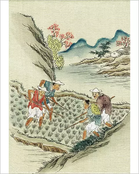 Workers cultivating rice in a paddy field, 19th century