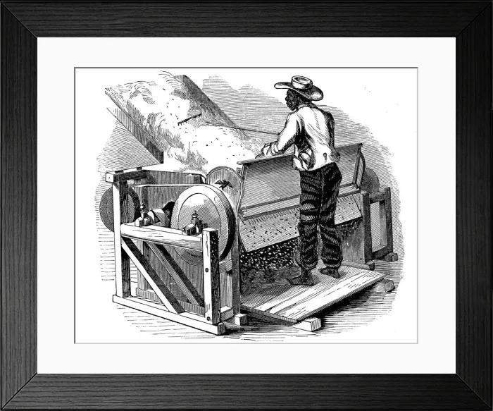 Framed Print : Saw gin for cleaning cotton being operated by barefoot black labourer, southern USA, 1865 Framed Print : Saw gin for cleaning cotton being operated by barefoot black labourer, southern USA, 1865
