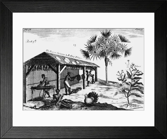 Framed Print : Scene on an American tobacco plantation, 1725 Framed Print : Scene on an American tobacco plantation, 1725