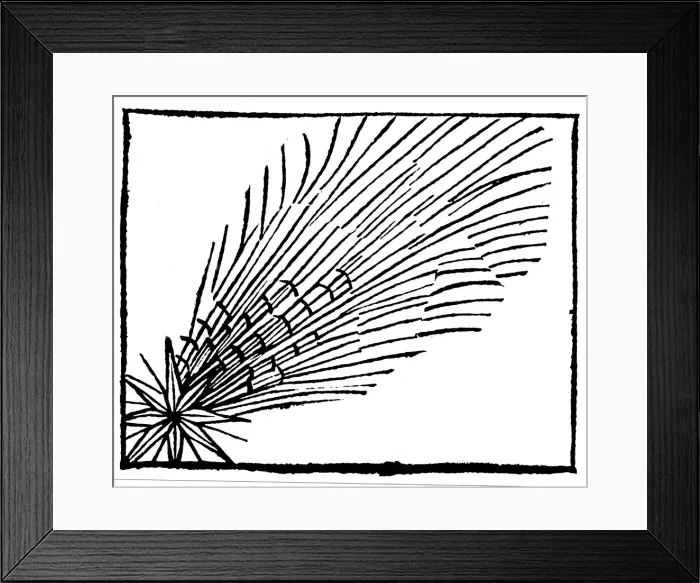 Framed Print : Comet of 684 (Halley), 1493 Framed Print : Comet of 684 (Halley), 1493