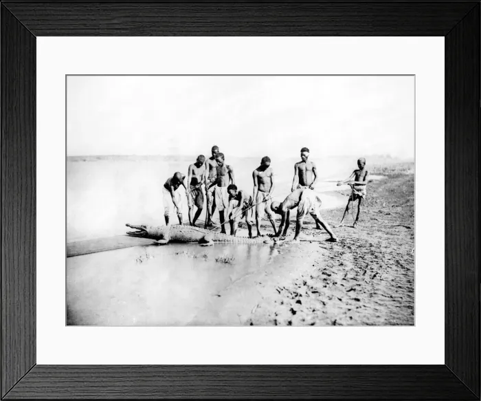 Framed Print : Hunting a crocodile, Nubia, Egypt, 1887. Artist: Henri Bechard Framed Print : Hunting a crocodile, Nubia, Egypt, 1887. Artist: Henri Bechard