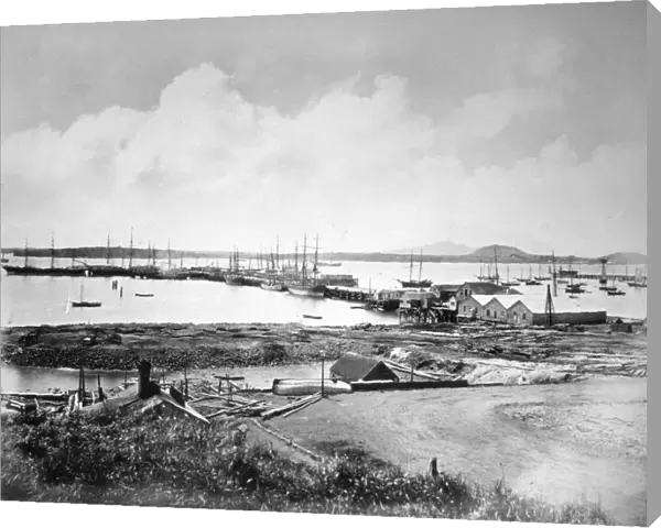 The port, Auckland, New Zealand, c1870-1880