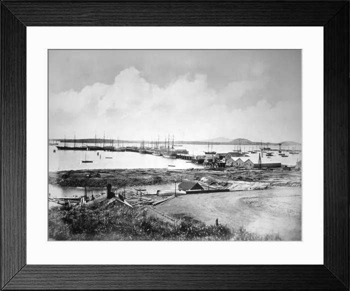 Framed Print : The port, Auckland, New Zealand, c1870-1880 Framed Print : The port, Auckland, New Zealand, c1870-1880
