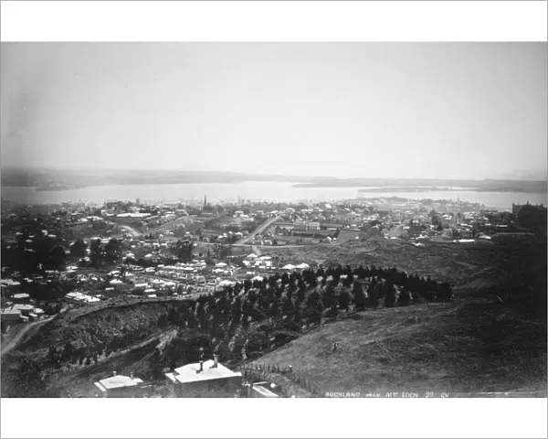 Auckland from Mt Eden, New Zealand, 1899