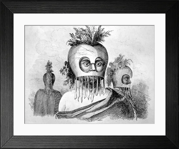 Framed Print : Hawaiian Man Wearing a Gourd Mask, 18th century. Artist: John Webber Framed Print : Hawaiian Man Wearing a Gourd Mask, 18th century. Artist: John Webber