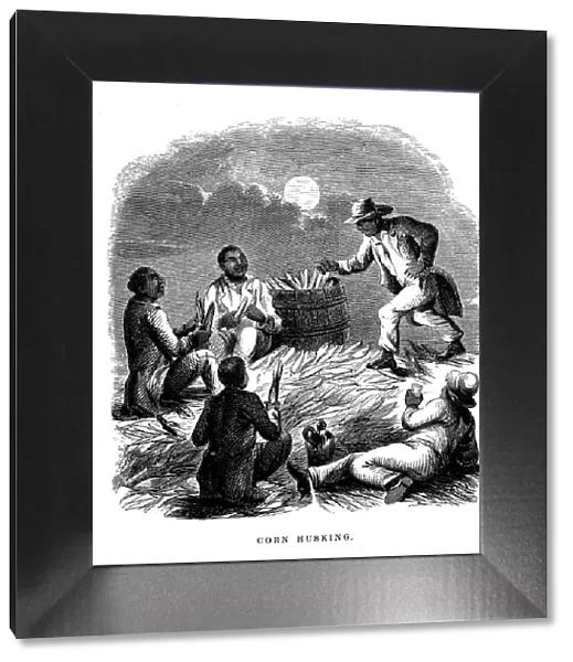 Corn Husking; Negro labourers husking maize, southern USA, c1850
