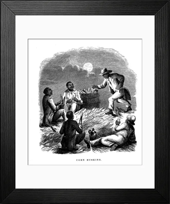 Framed Print : Corn Husking; Negro labourers husking maize, southern USA, c1850 Framed Print : Corn Husking; Negro labourers husking maize, southern USA, c1850