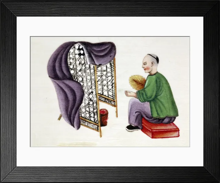 Framed Print : Man drying silkworm cocoons, 19th century Framed Print : Man drying silkworm cocoons, 19th century