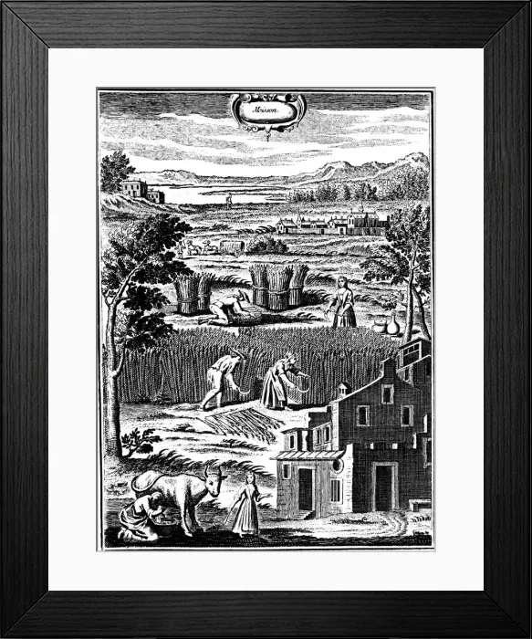 Framed Print : Harvest time, 1762 Framed Print : Harvest time, 1762