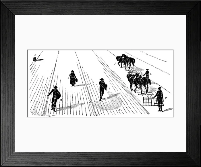 Framed Print : Crop rotation: sowing and harrowing corn, 1855 Framed Print : Crop rotation: sowing and harrowing corn, 1855