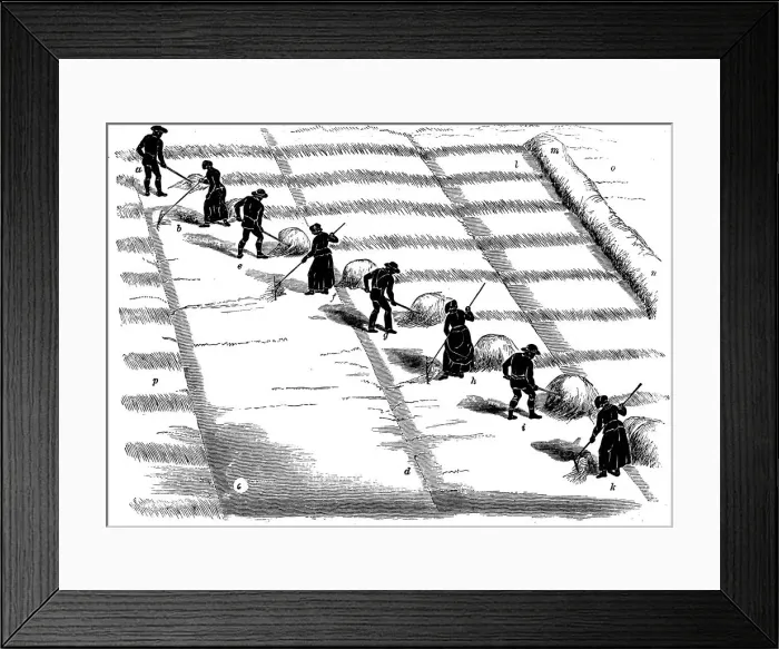 Framed Print : Crop rotation: haymaking, 1855 Framed Print : Crop rotation: haymaking, 1855