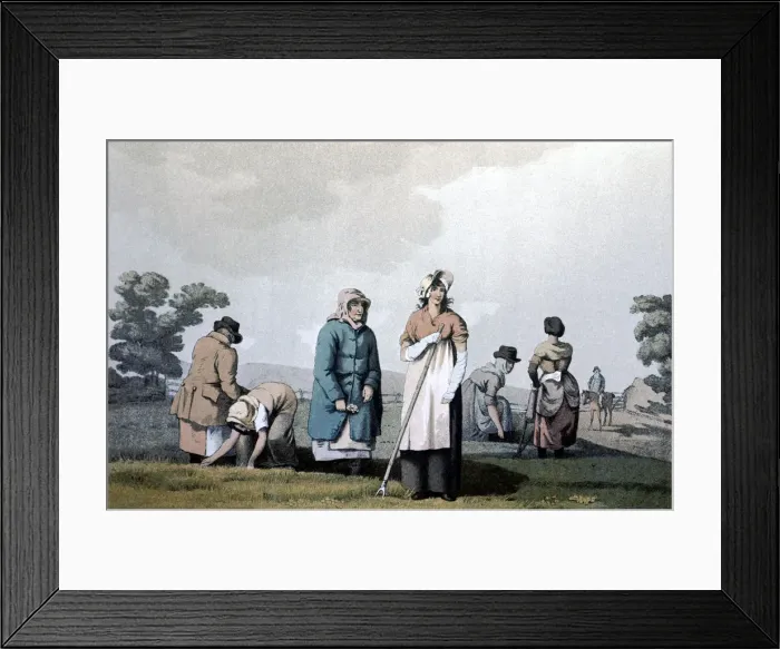 Framed Print : Lowkers - women who weeded corn, 1814. Artist: George Walker of Seacroft Framed Print : Lowkers - women who weeded corn, 1814. Artist: George Walker of Seacroft