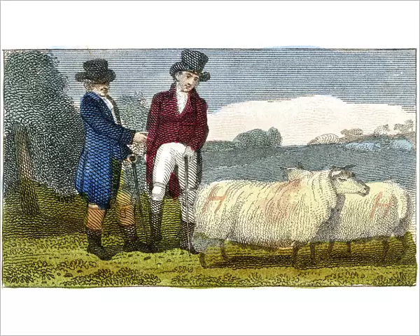 Farmers discussing Dishley (New Leicester) sheep, 1822
