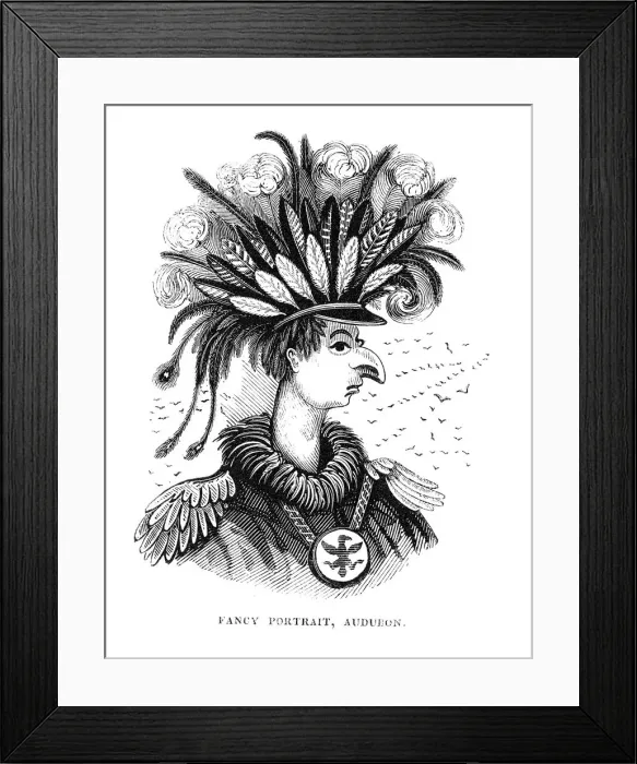 Framed Print : John James Audobon (1780-1851), American ornithologist and artist, 1836 Framed Print : John James Audobon (1780-1851), American ornithologist and artist, 1836