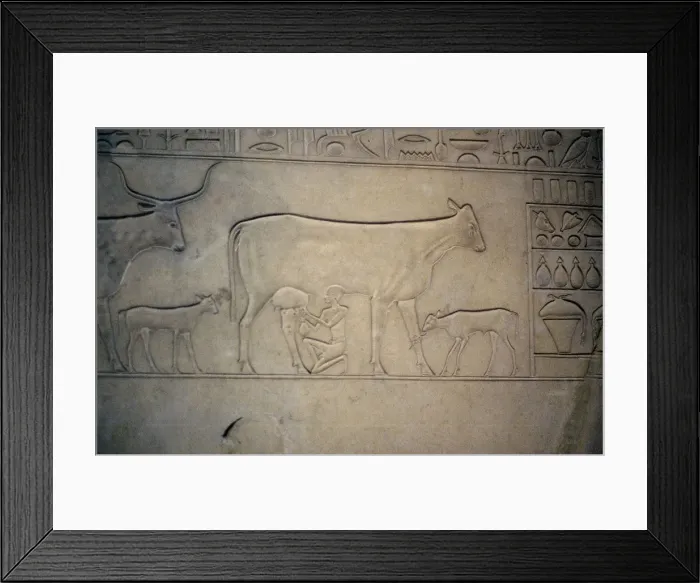 Framed Print : Sarcophagus, Middle Kingdom, Ancient Egyptian, c2040-1786 BC Framed Print : Sarcophagus, Middle Kingdom, Ancient Egyptian, c2040-1786 BC