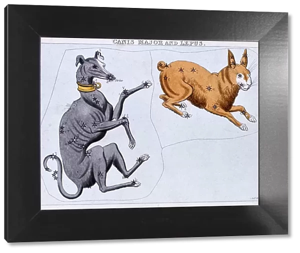 Constellations of Canis Major and Lepus, c1820. Artist: Sidney Hall