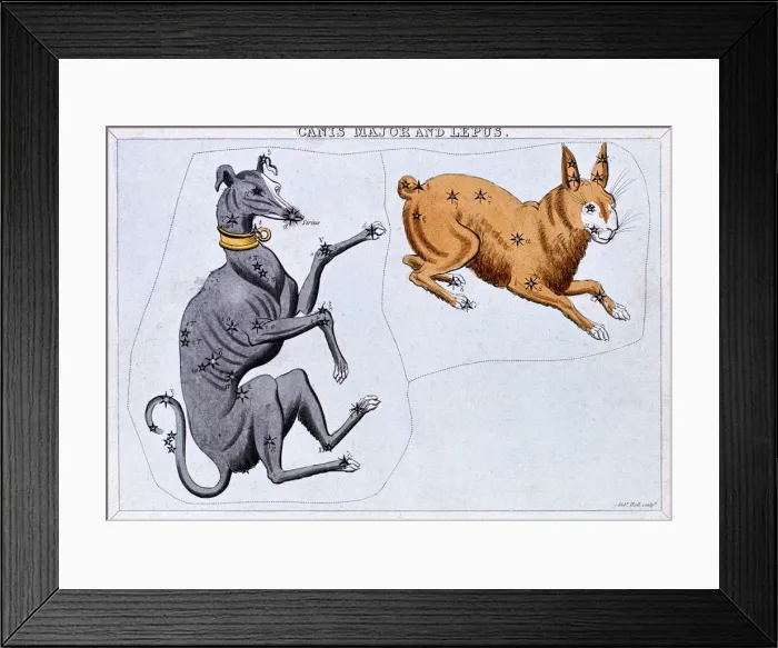 Framed Print : Constellations of Canis Major and Lepus, c1820. Artist: Sidney Hall Framed Print : Constellations of Canis Major and Lepus, c1820. Artist: Sidney Hall