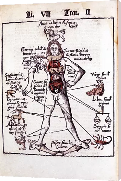 Relationship of the organs of the body, the Humours and signs of the Zodiac, 1508