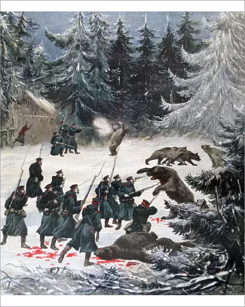 Bear attack, Russia, 1892. Artist: Henri Meyer