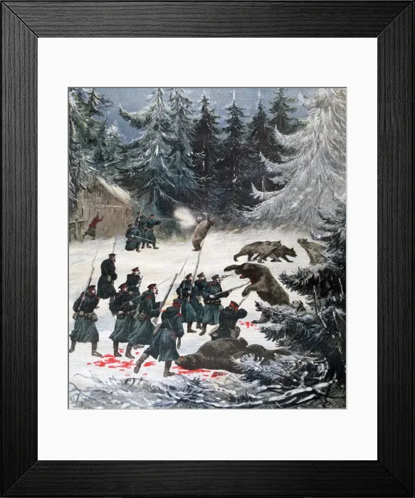Framed Print : Bear attack, Russia, 1892. Artist: Henri Meyer Framed Print : Bear attack, Russia, 1892. Artist: Henri Meyer