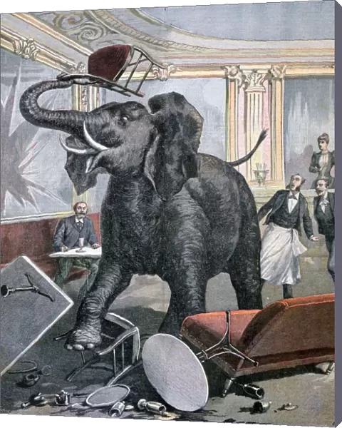 A elephant in the Pre-Catalan Cafe, Toulouse, France, 1891. Artist: Henri Meyer