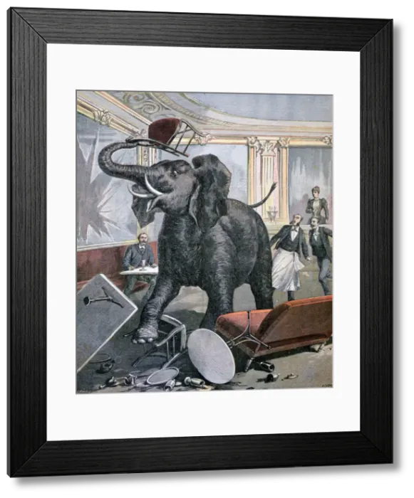 Framed Print : A elephant in the Pre-Catalan Cafe, Toulouse, France, 1891. Artist: Henri Meyer Framed Print : A elephant in the Pre-Catalan Cafe, Toulouse, France, 1891. Artist: Henri Meyer