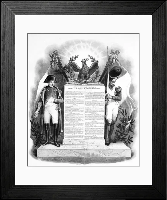 Framed Print : The organisation of the imperial government, 18 May, 1804, 19th century Framed Print : The organisation of the imperial government, 18 May, 1804, 19th century