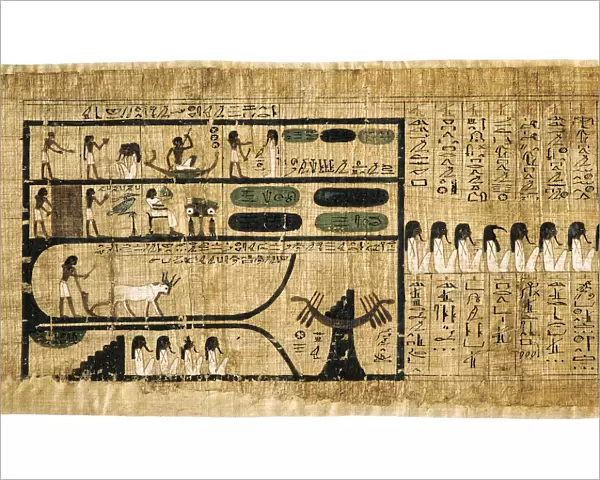 Ancient Egyptian Book of the Dead on papyrus showing written hieroglyphs