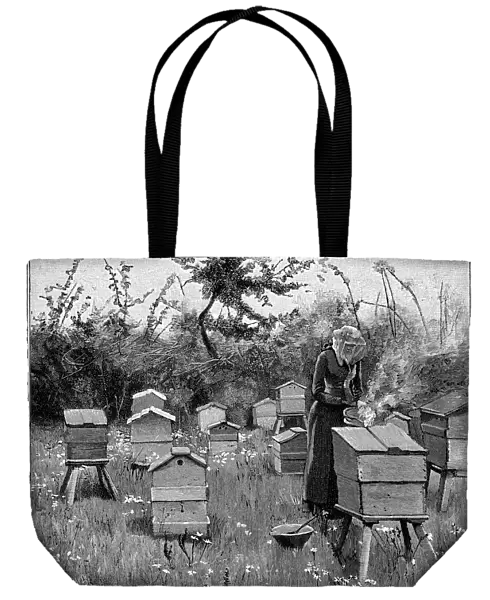 Apiary of wooden hives, Lismore, Ireland, 1890