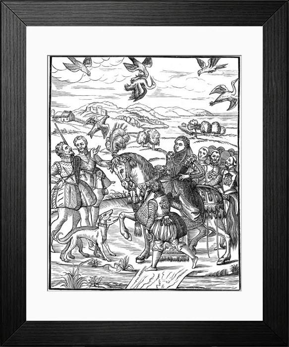 Framed Print : Queen Elizabeth I and her attendants out hawking, 1575 Framed Print : Queen Elizabeth I and her attendants out hawking, 1575