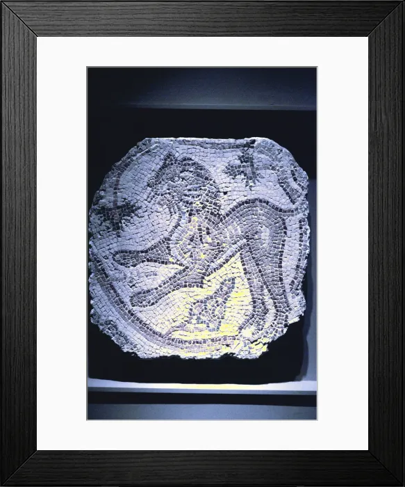Framed Print : Roman mosaic of a lion