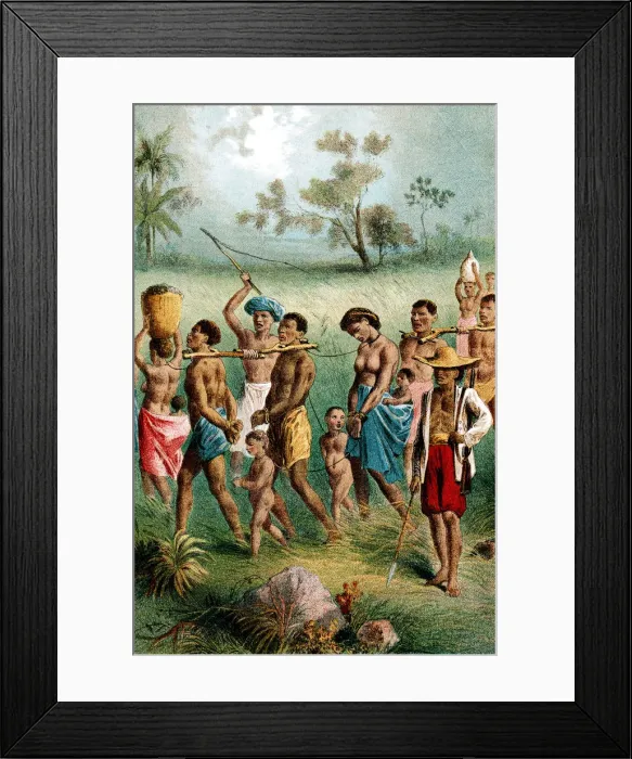 Framed Print : Male, female and child captives driven into slavery by Arab slave traders, c1875 Framed Print : Male, female and child captives driven into slavery by Arab slave traders, c1875